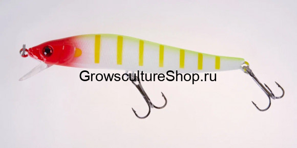 Воблер GC ONE MAG 100SP-509R (10 гр.; до 0,6 м)